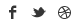 Social Media Icons